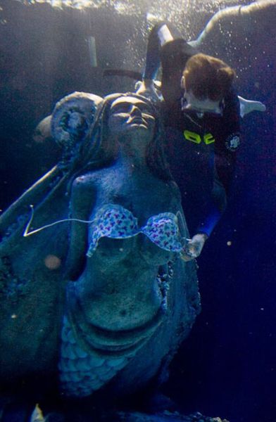 Bildschirmarbeiter - Picdump 13.08.2010