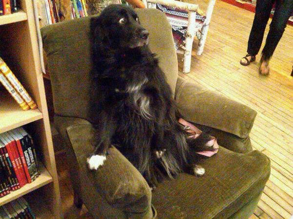 Bildschirmarbeiter - Picdump 13.08.2010