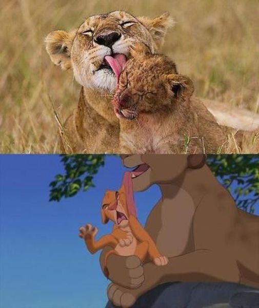 Bildschirmarbeiter - Picdump 13.08.2010