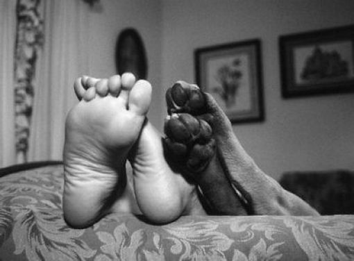 Bildschirmarbeiter - Picdump 13.08.2010