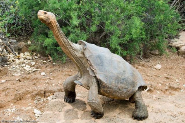 Bildschirmarbeiter - Picdump 13.08.2010