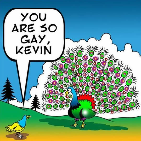 Bildschirmarbeiter - Picdump 13.08.2010