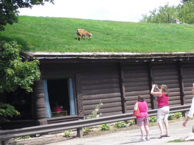 Bildschirmarbeiter - Picdump 20.08.2010