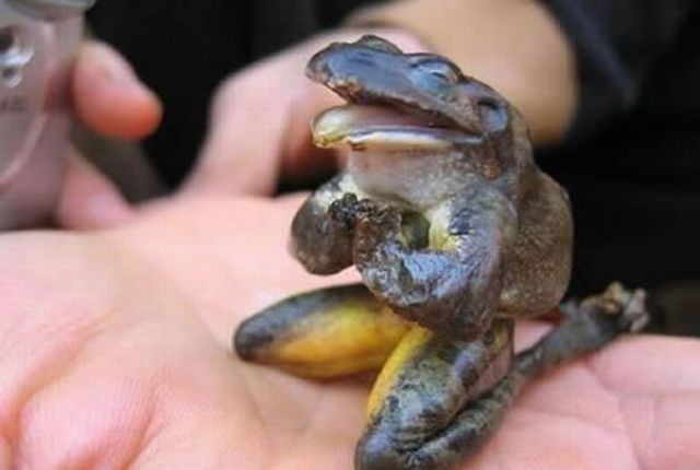 Bildschirmarbeiter - Picdump 20.08.2010