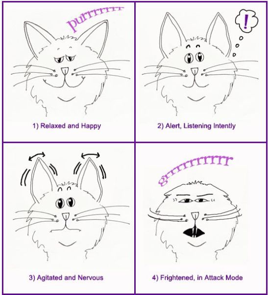 Bildschirmarbeiter - Picdump 20.08.2010