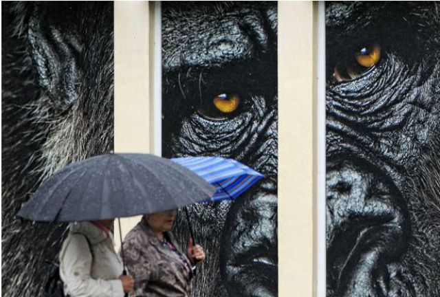 Bildschirmarbeiter - Picdump 20.08.2010