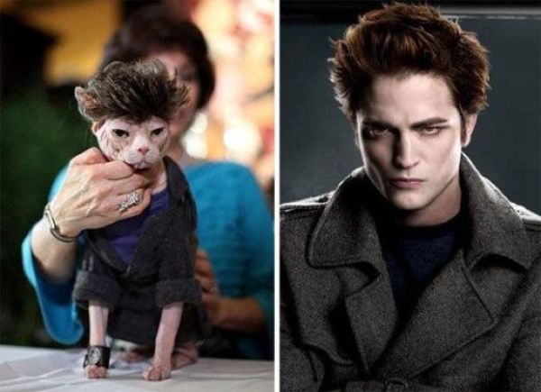 Bildschirmarbeiter - Picdump 20.08.2010