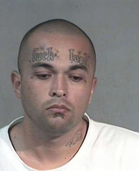 Bildschirmarbeiter - Picdump 20.08.2010