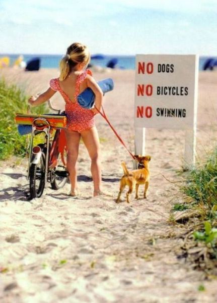 Bildschirmarbeiter - Picdump 20.08.2010