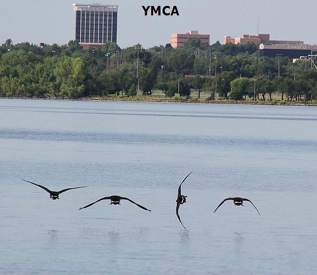 Bildschirmarbeiter - Picdump 27.08.2010