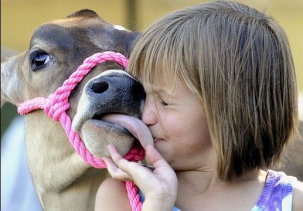 Bildschirmarbeiter - Picdump 27.08.2010