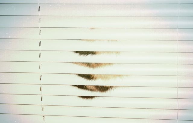 Bildschirmarbeiter - Picdump 27.08.2010