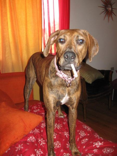 Bildschirmarbeiter - Picdump 27.08.2010