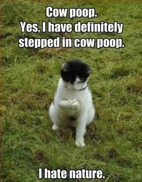 Bildschirmarbeiter - Picdump 27.08.2010