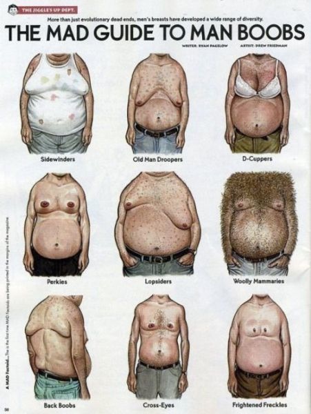 Bildschirmarbeiter - Picdump 27.08.2010