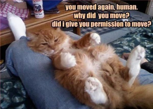 Bildschirmarbeiter - Picdump 03.09.2010