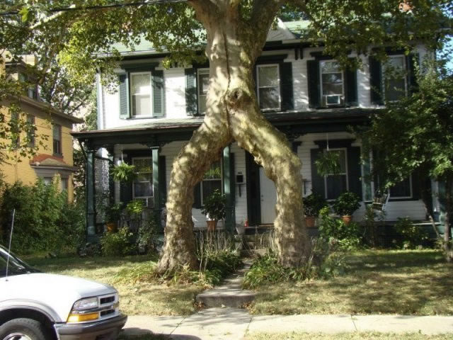 Bildschirmarbeiter - Picdump 10.09.2010