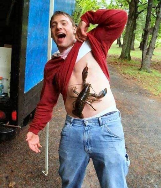 Bildschirmarbeiter - Picdump 10.09.2010