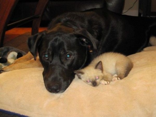 Bildschirmarbeiter - Picdump 10.09.2010