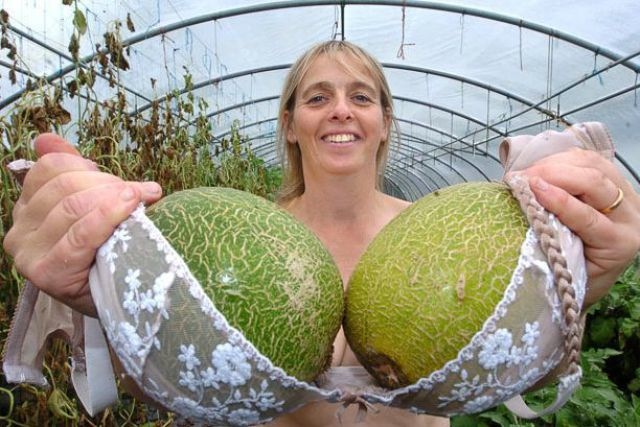 Bildschirmarbeiter - Picdump 10.09.2010