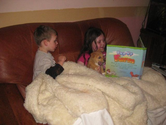 Bildschirmarbeiter - Picdump 17.09.2010