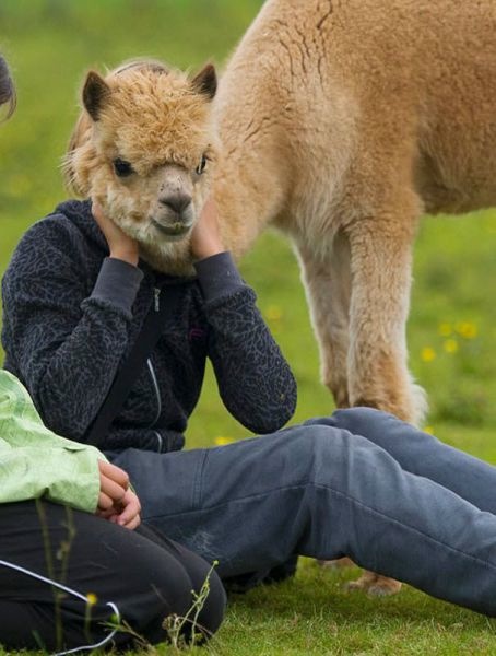 Bildschirmarbeiter - Picdump 17.09.2010