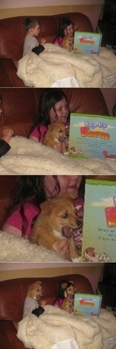 Bildschirmarbeiter - Picdump 17.09.2010