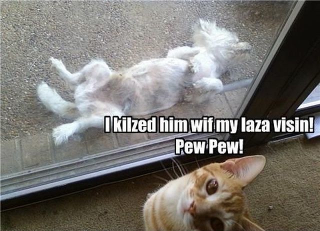 Bildschirmarbeiter - Picdump 17.09.2010