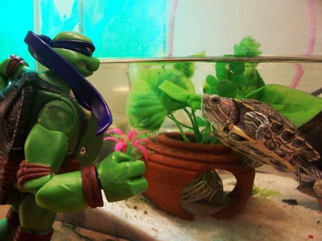 Bildschirmarbeiter - Picdump 17.09.2010