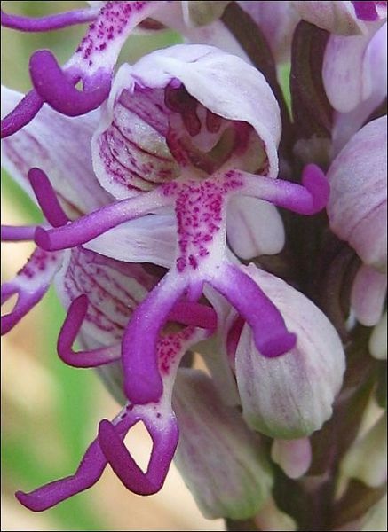 Bildschirmarbeiter - Picdump 01.10.2010