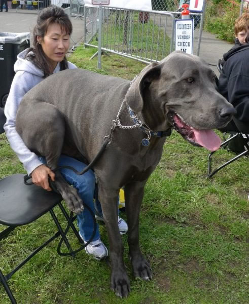 Bildschirmarbeiter - Picdump 01.10.2010