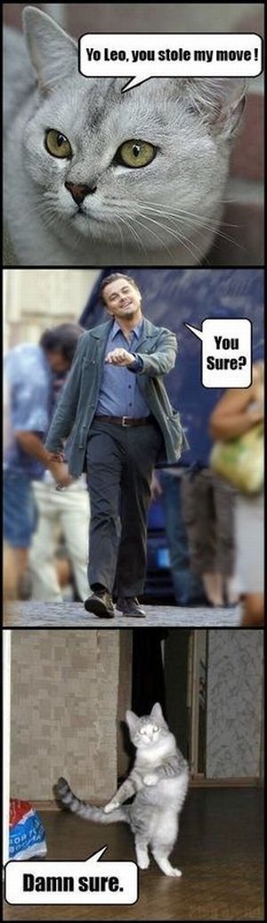 Bildschirmarbeiter - Picdump 01.10.2010