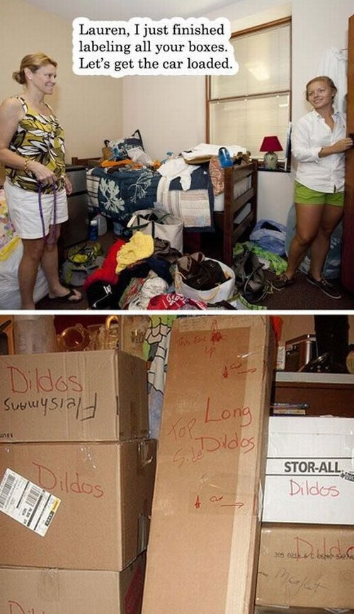 Bildschirmarbeiter - Picdump 01.10.2010