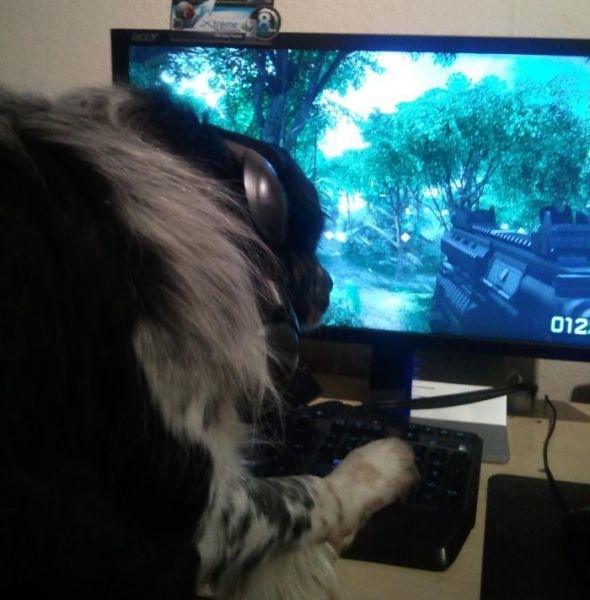 Bildschirmarbeiter - Picdump 01.10.2010