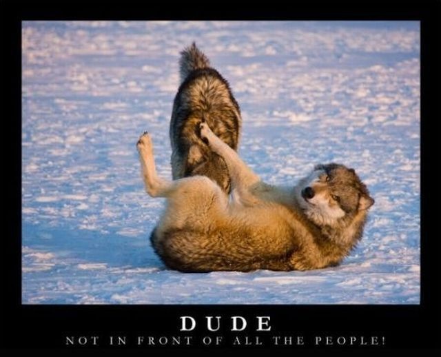 Bildschirmarbeiter - Picdump 01.10.2010