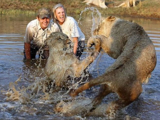 Bildschirmarbeiter - Picdump 15.10.2010