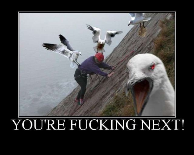 Bildschirmarbeiter - Picdump 15.10.2010