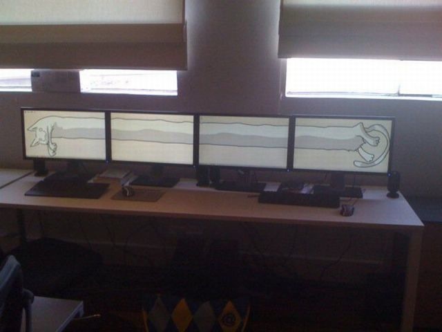 Bildschirmarbeiter - Picdump 15.10.2010