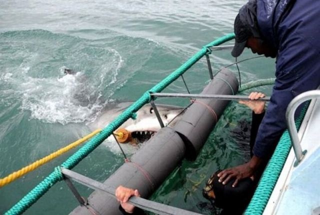 Bildschirmarbeiter - Picdump 15.10.2010