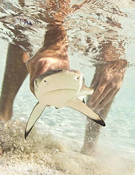 Bildschirmarbeiter - Picdump 15.10.2010