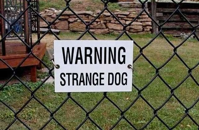 Bildschirmarbeiter - Picdump 15.10.2010