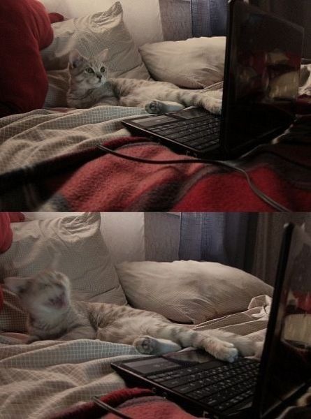 Bildschirmarbeiter - Picdump 22.10.2010