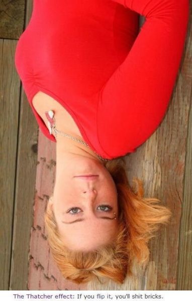 Bildschirmarbeiter - Picdump 22.10.2010