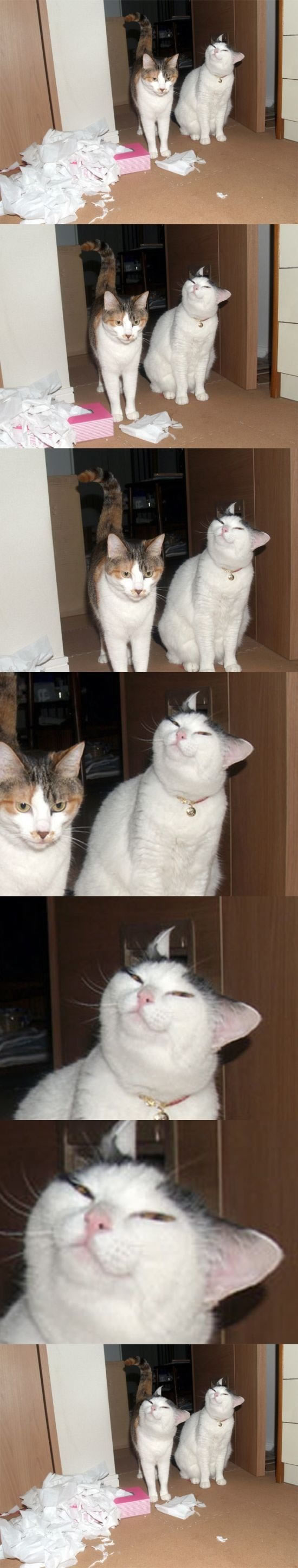 Bildschirmarbeiter - Picdump 22.10.2010