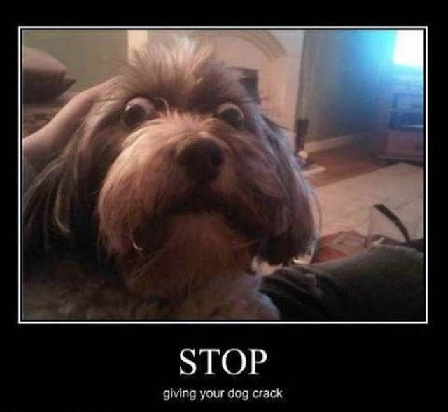 Bildschirmarbeiter - Picdump 29.10.2010