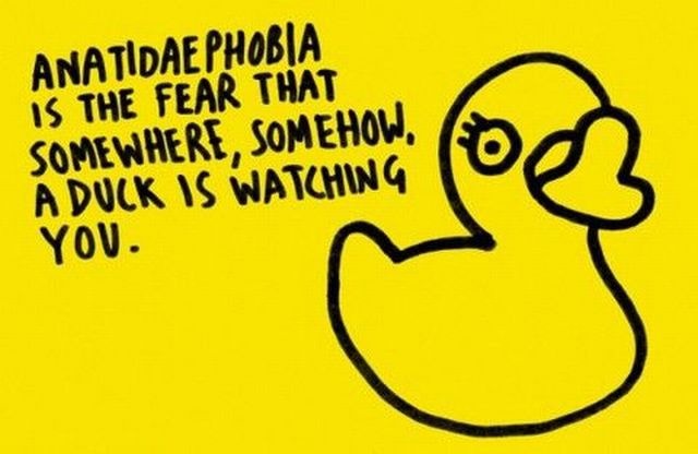 Bildschirmarbeiter - Picdump 29.10.2010