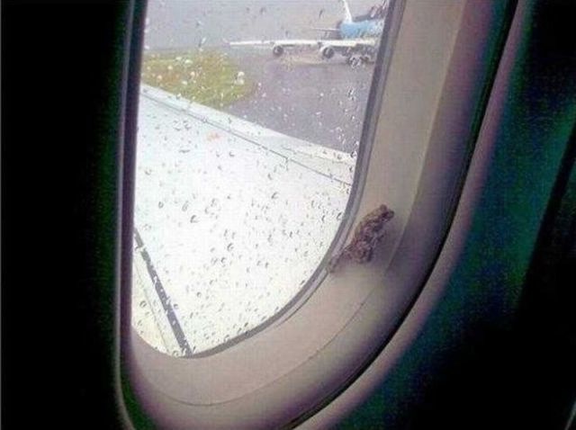 Bildschirmarbeiter - Picdump 29.10.2010