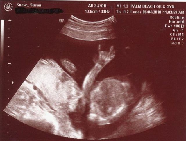 Bildschirmarbeiter - Picdump 29.10.2010