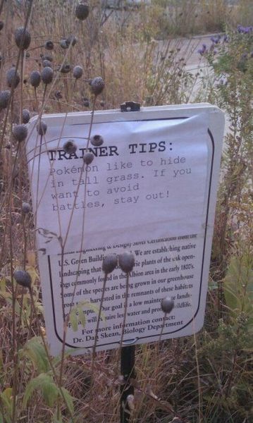 Bildschirmarbeiter - Picdump 29.10.2010