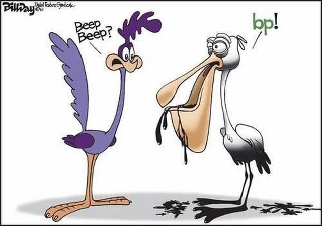 Bildschirmarbeiter - Picdump 05.11.2010